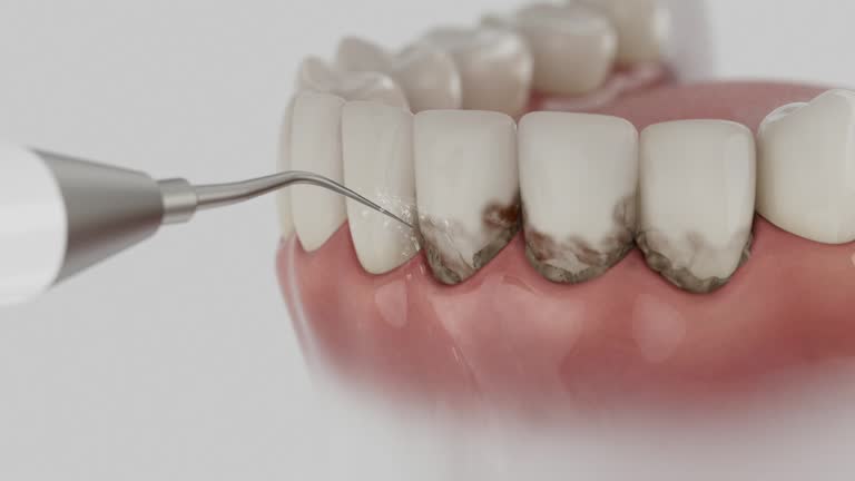 Reliable Dental contractor in Churchill, PA by Dentist Open Now